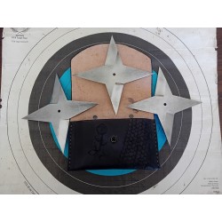 Star X 3 avec étui cuir